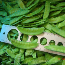 IQF Frozen Pea Pods, Snow Pea